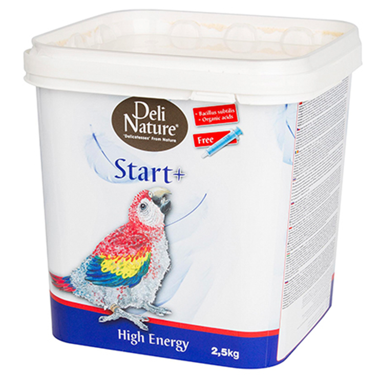Start+ High Energy