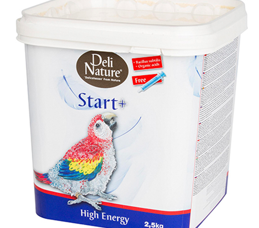 Start+ High Energy