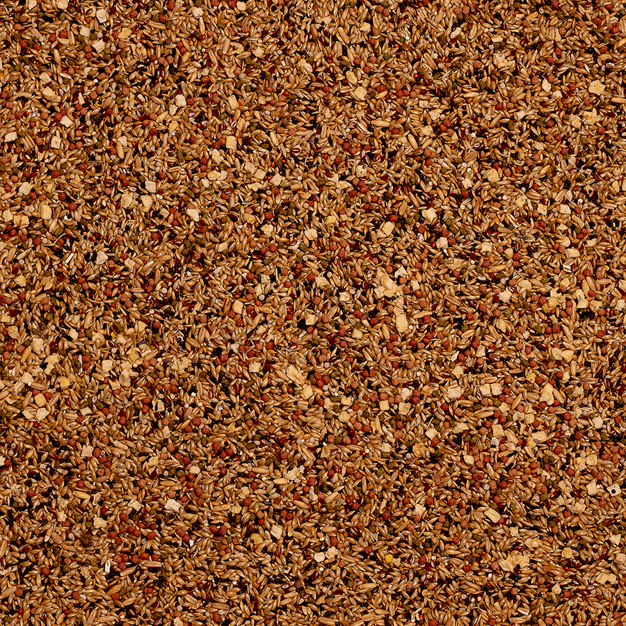 Kanaries Birdelicious