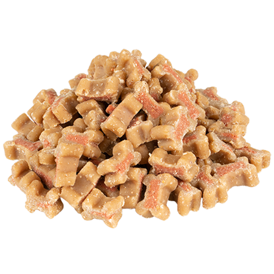 Training treats zalm & rijst 200g