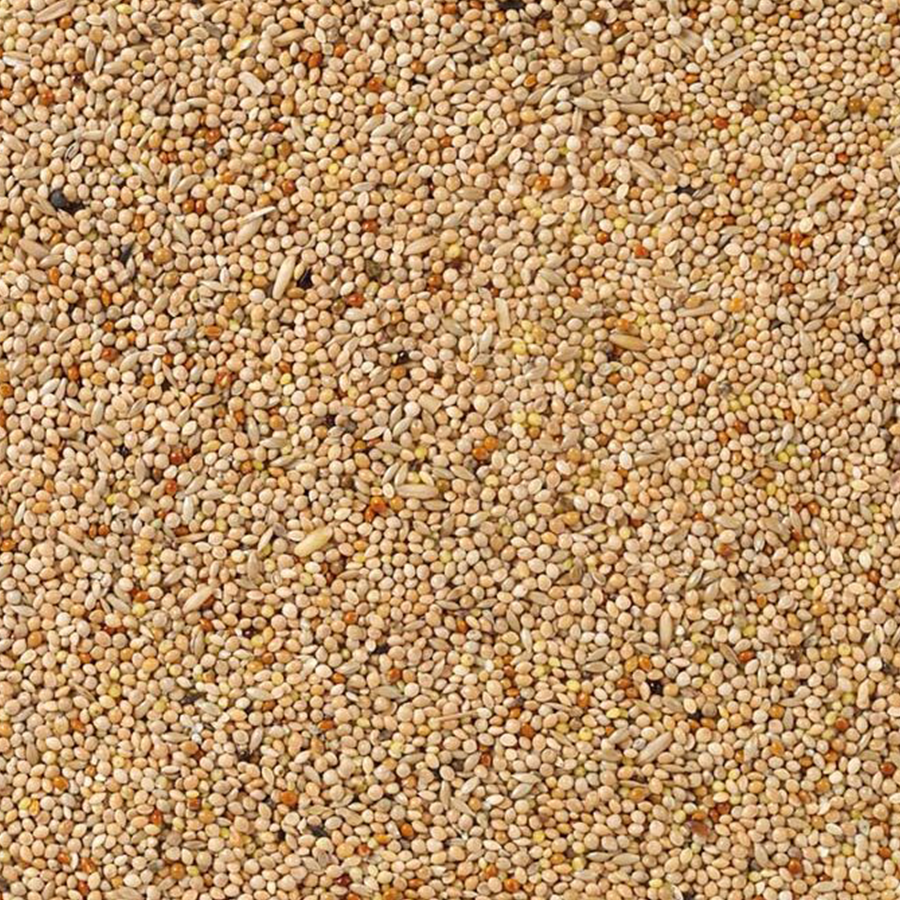 Parakeets Basic 20kg