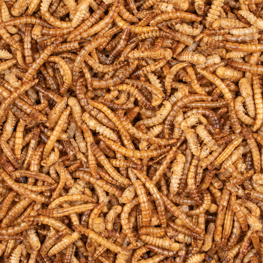 Meelwormen gedroogd emmer 700g
