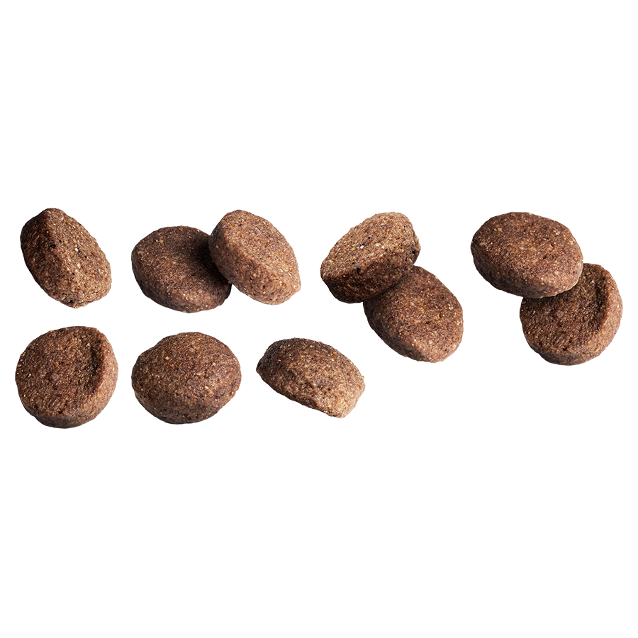 Large Adult Lamb & Rice 12 kg