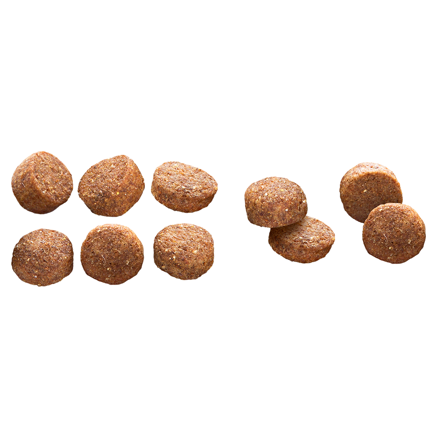 Adult Light All Size