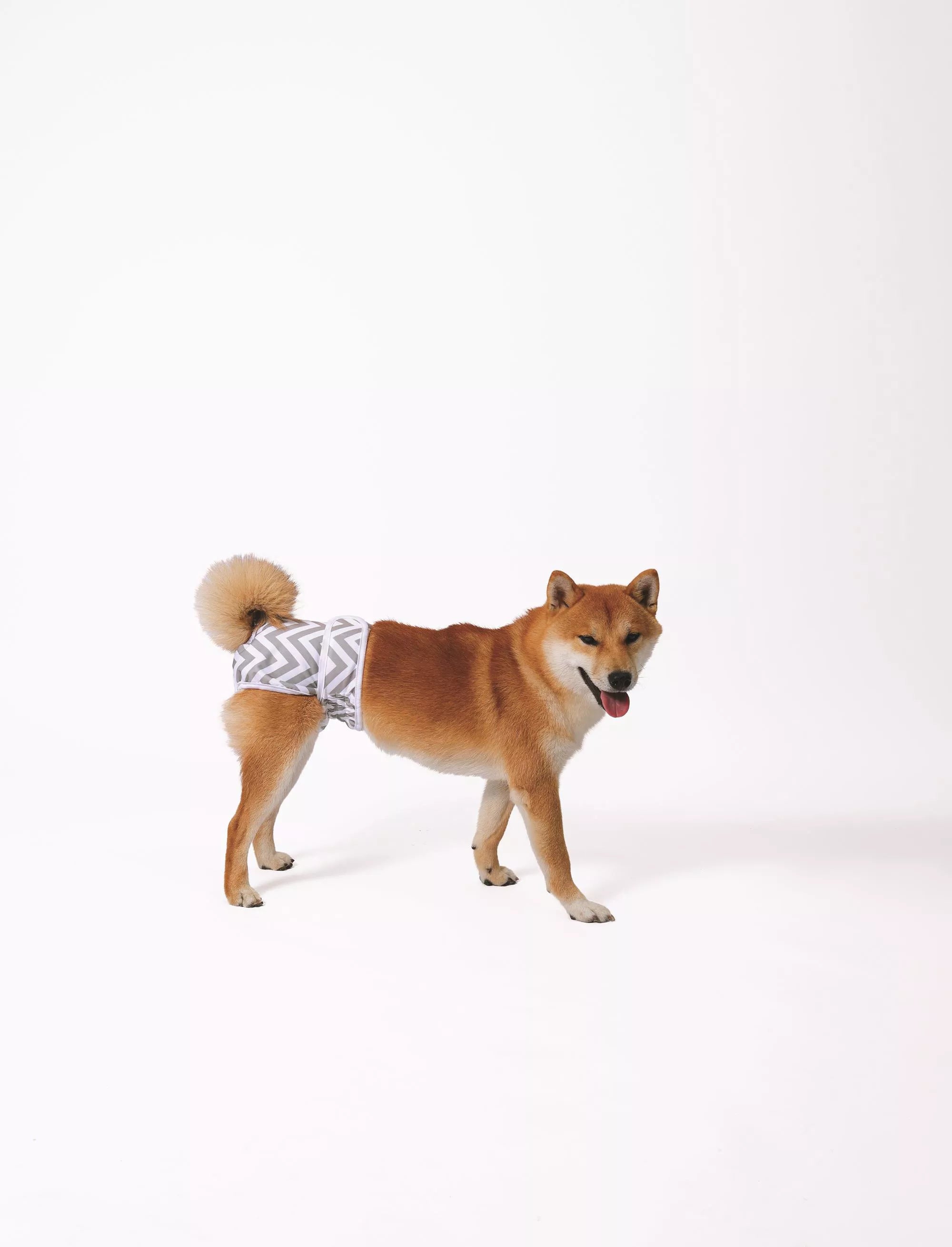 Washable Diaper Dog Female