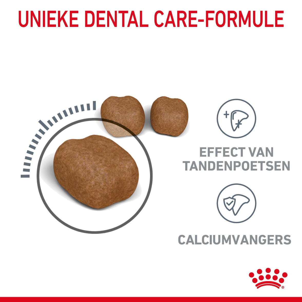 Dental Care 1.5kg