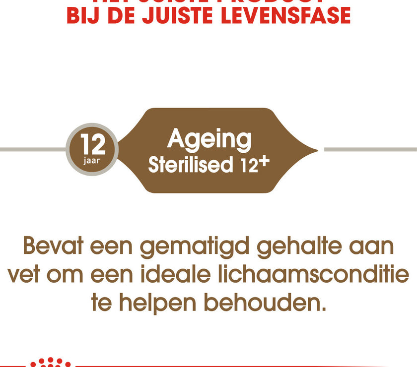 Ageing Sterilised 12+