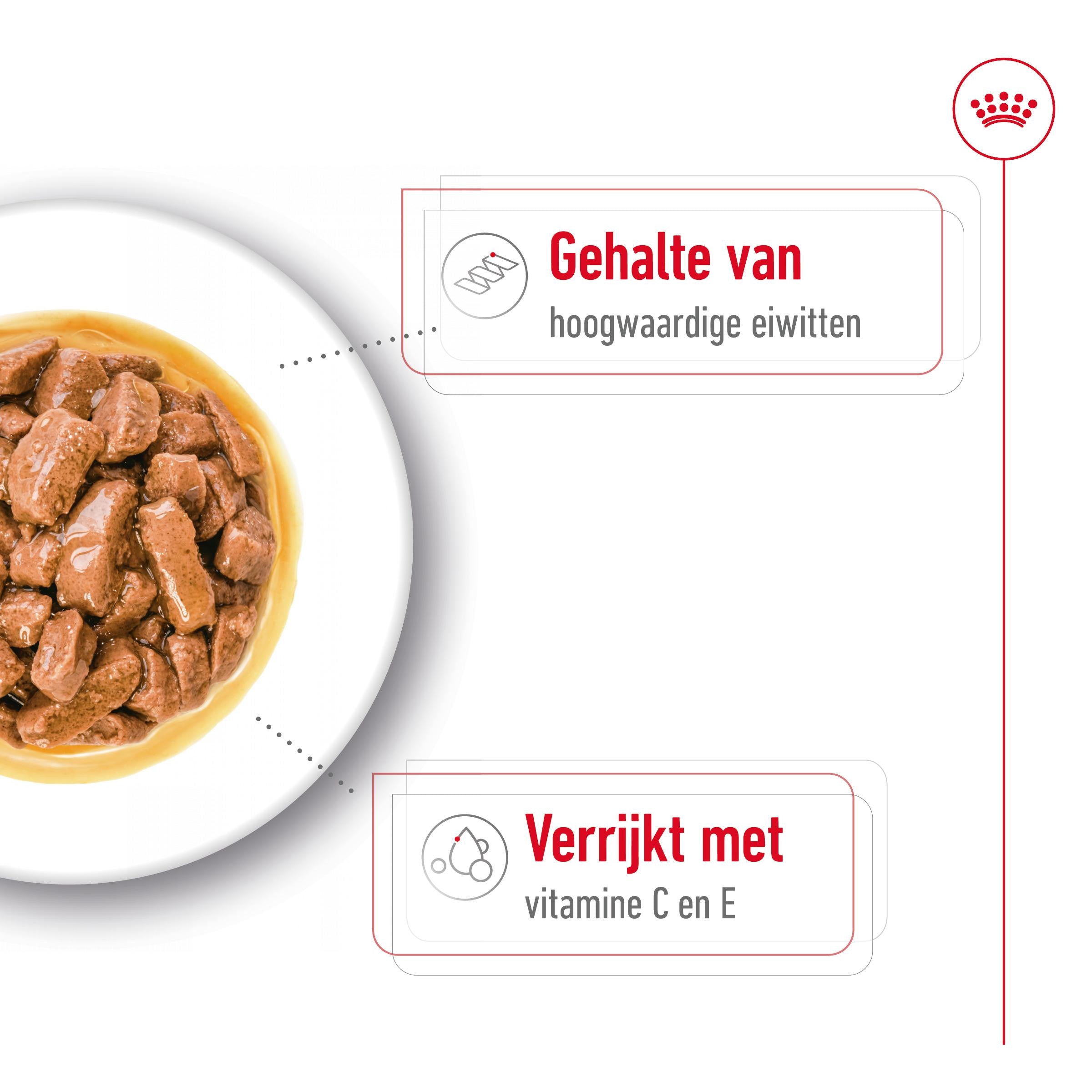 Medium Adult Wet 10x140g