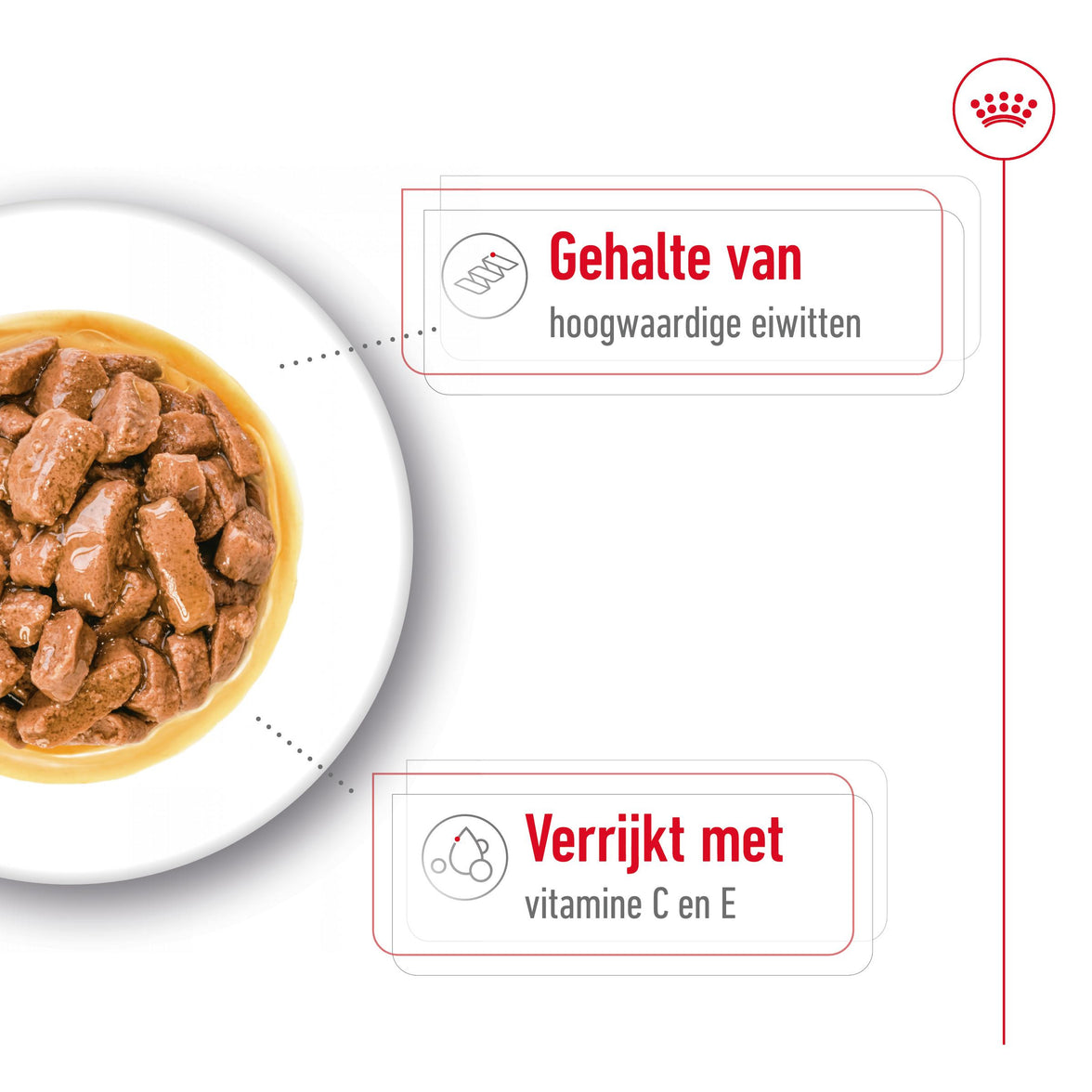 Medium Adult Wet 10x140g