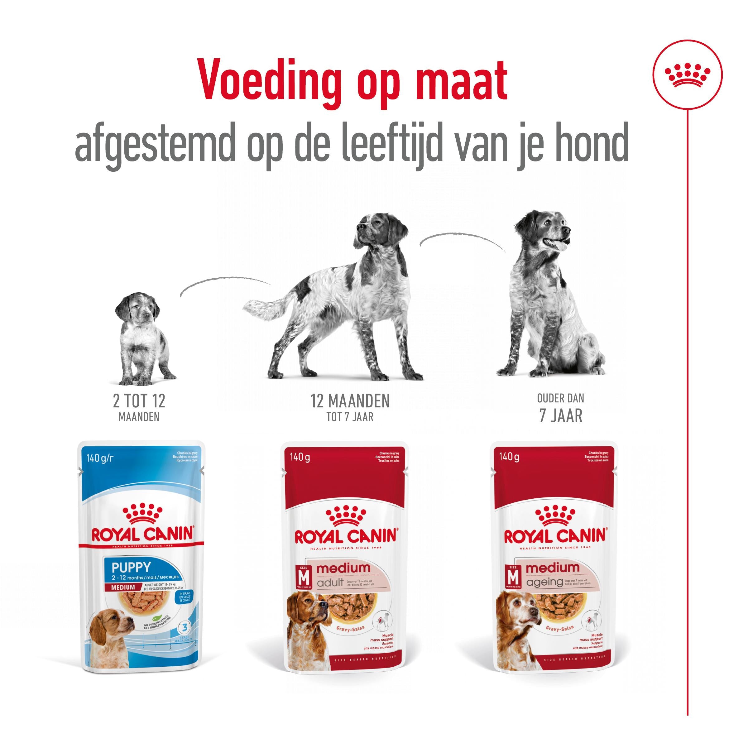 Medium Adult Wet 10x140g