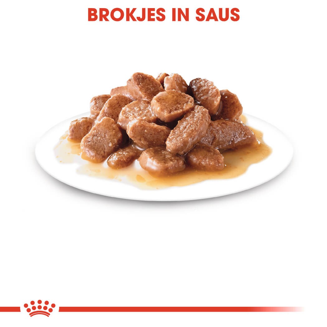 Digestive Care in Gravy (brokjes in saus) 12x85g