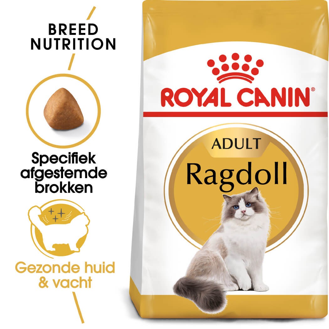 Ragdoll Adult 2kg