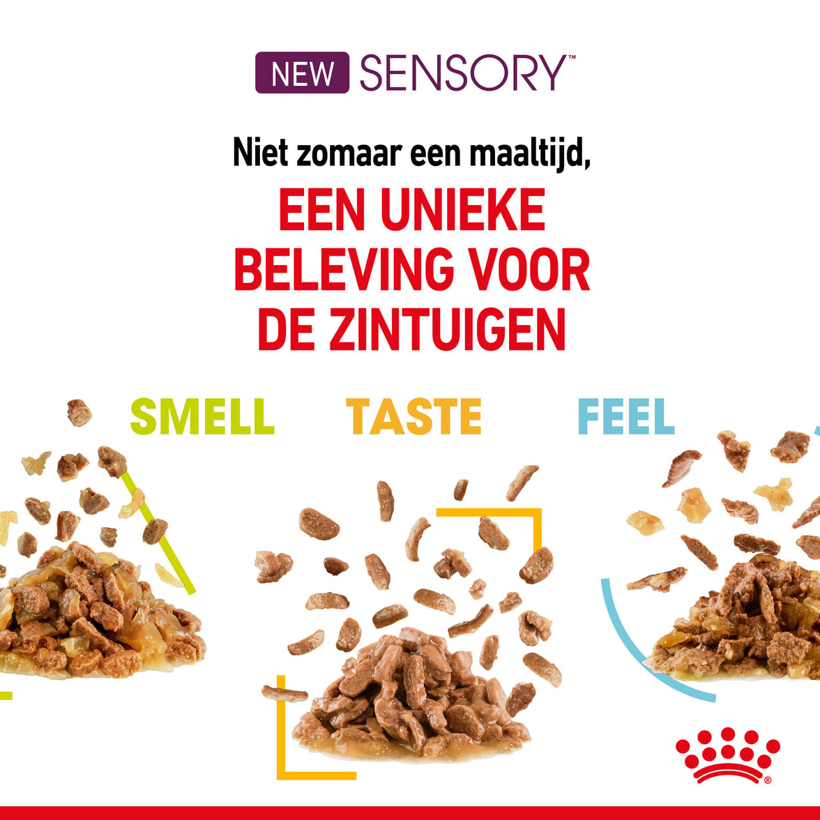 SENSORY™ Taste in Gravy (brokjes In Saus) 12x85g