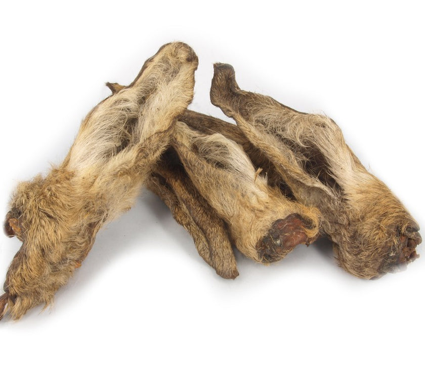 Geitenoren met vacht Natuurlijke hondensnack 500gr