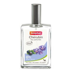 Perfume Cherubin Puppy 50ml 