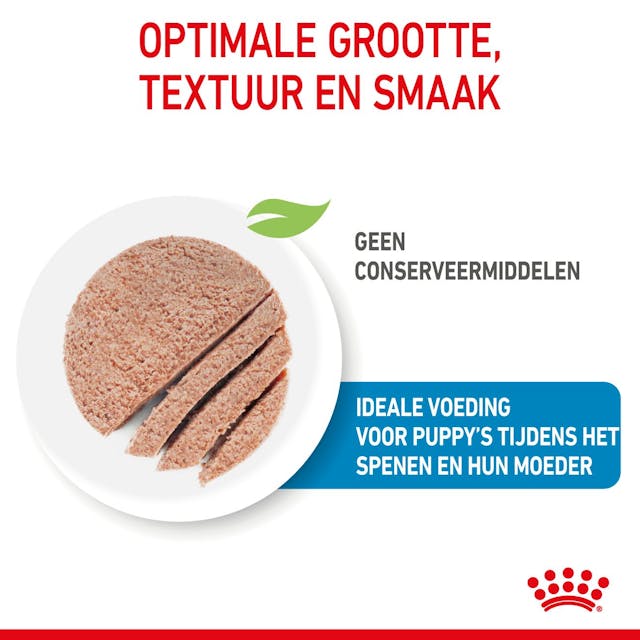 Starter Mousse Mother &amp; Babydog