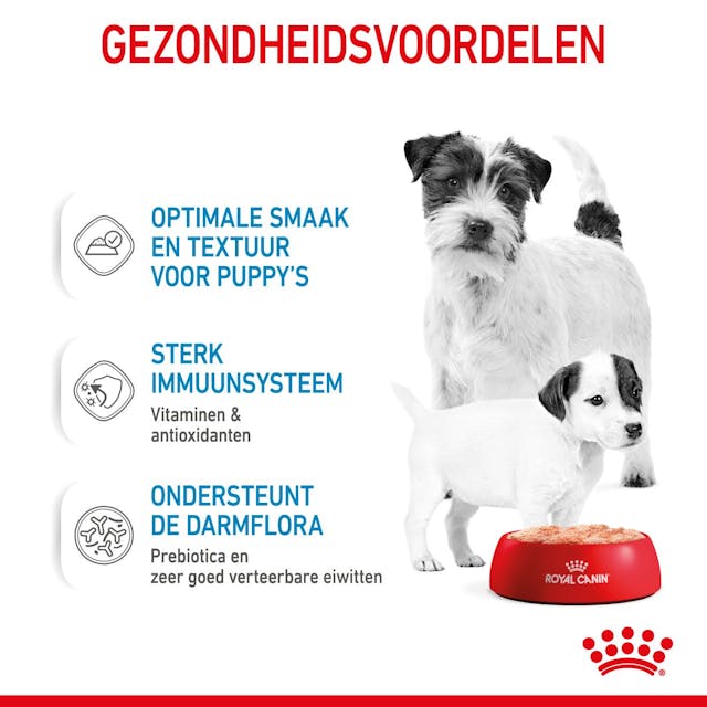 Starter Mousse Mother &amp; Babydog