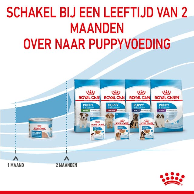 Starter Mousse Mother &amp; Babydog