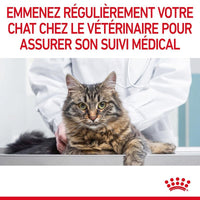Hairball Care 2 kg
