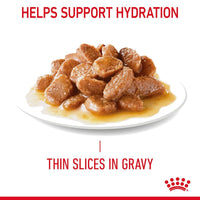 Urinary Care in Gravy (brokjes in saus) 12x85g