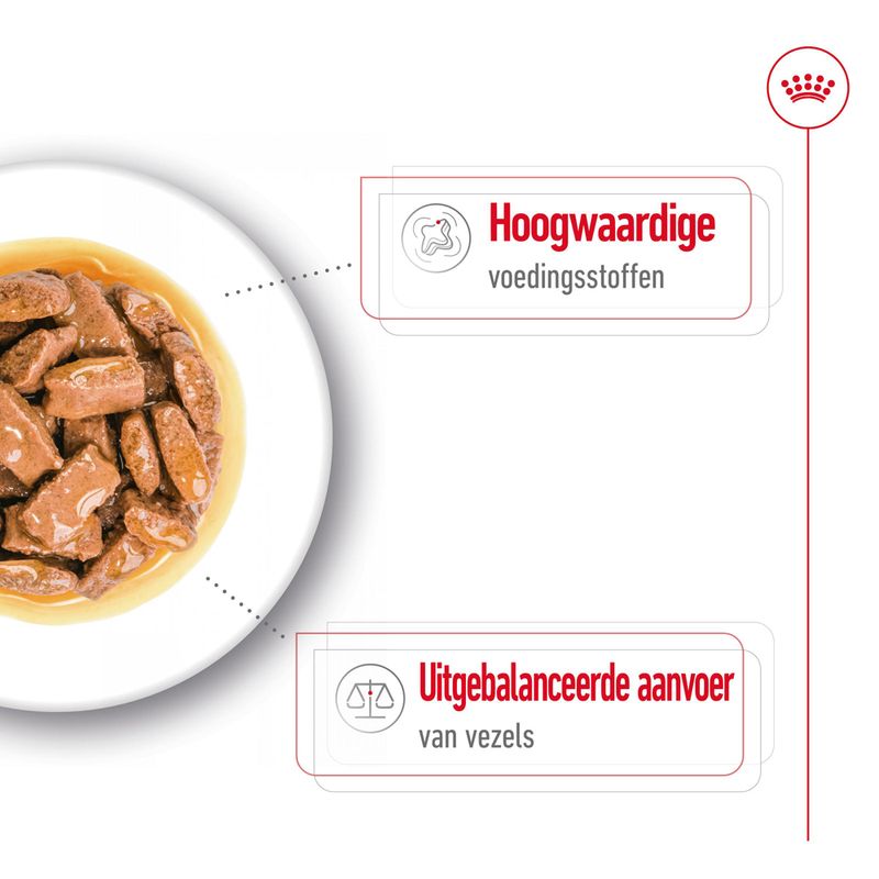 Maxi Adult in Gravy (brokjes in saus) 10x140g