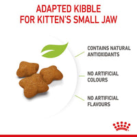 Kitten Sterilised