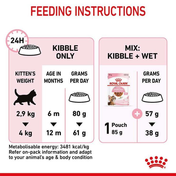 Kitten Sterilised