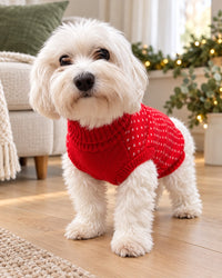 JV Kersttrui Rood met Rendier