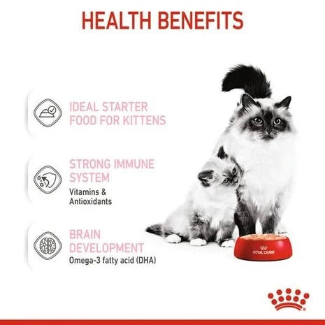 Mother & Babycat Mousse 195g