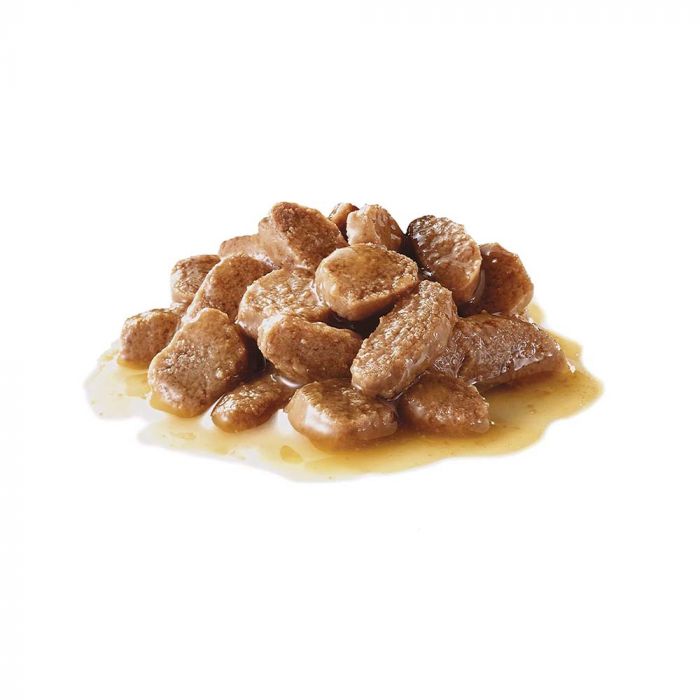 Indoor Gesteriliseerd Adult in Saus 12x85 g