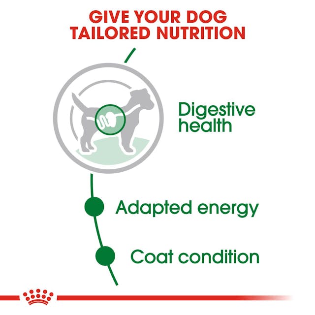 Mini Adult natvoer 12x85g