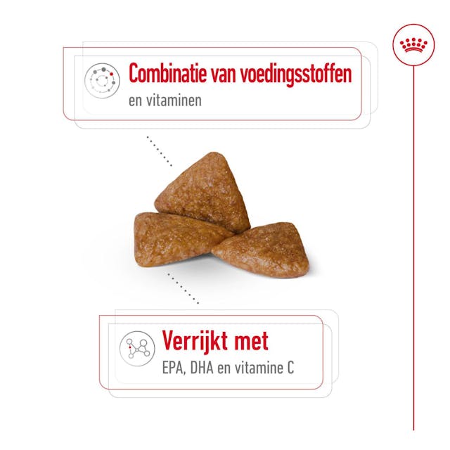 X-Small Ageing 12+ 1.5kg