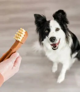 WHIMZEES® Toothbrush