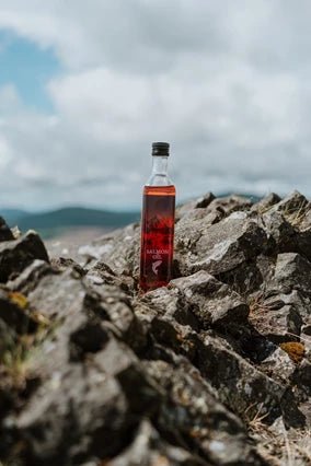 Noorse Zalmolie 500ml