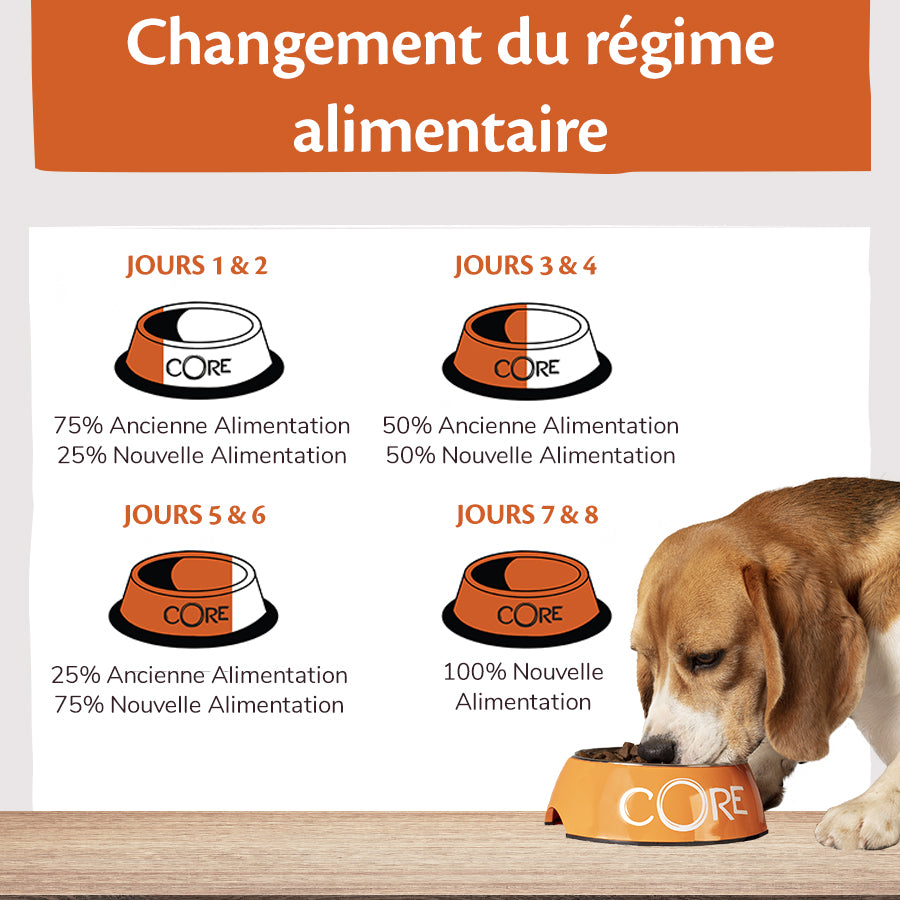 Small Breed Adult Original Turkey with Chicken