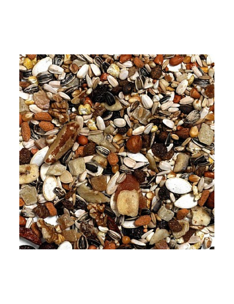 Parrots Exotic Fruit Mix 600g