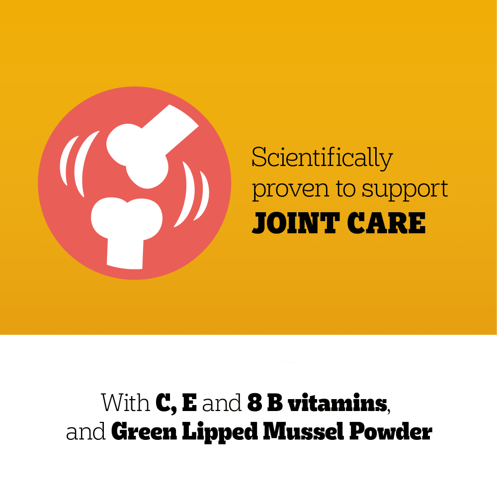 Multivitamines Soin des Articulations 30 Mouches à Mâcher pour Chien 180g 