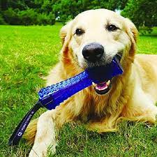 Johnny Stick 'Push To Mute' solid Rood/Paars